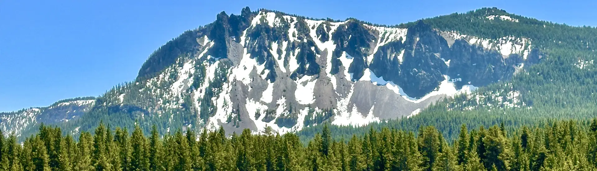 Snow-capped mountain peaks rise above a dense forest under a clear blue sky.