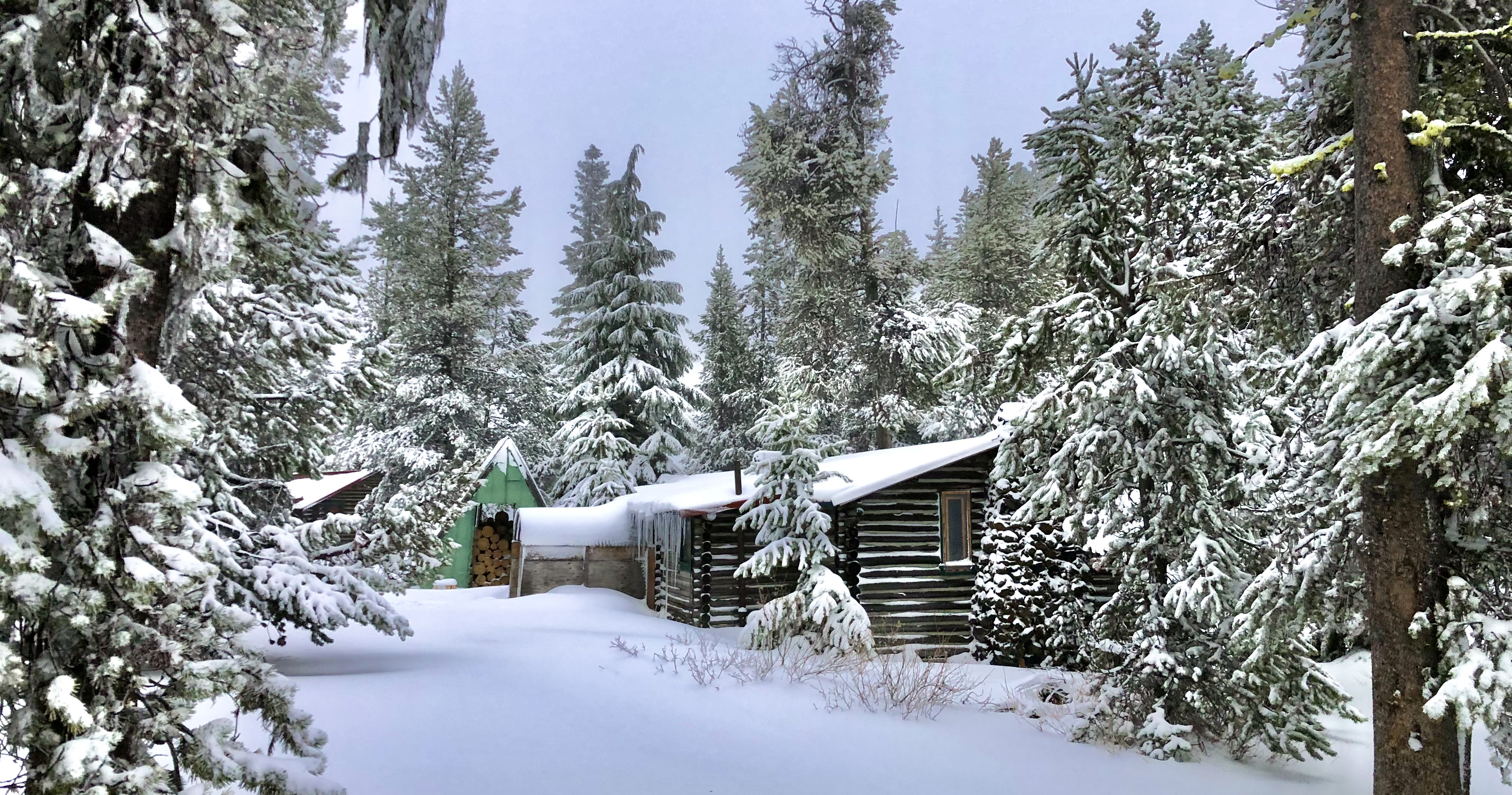 cabin