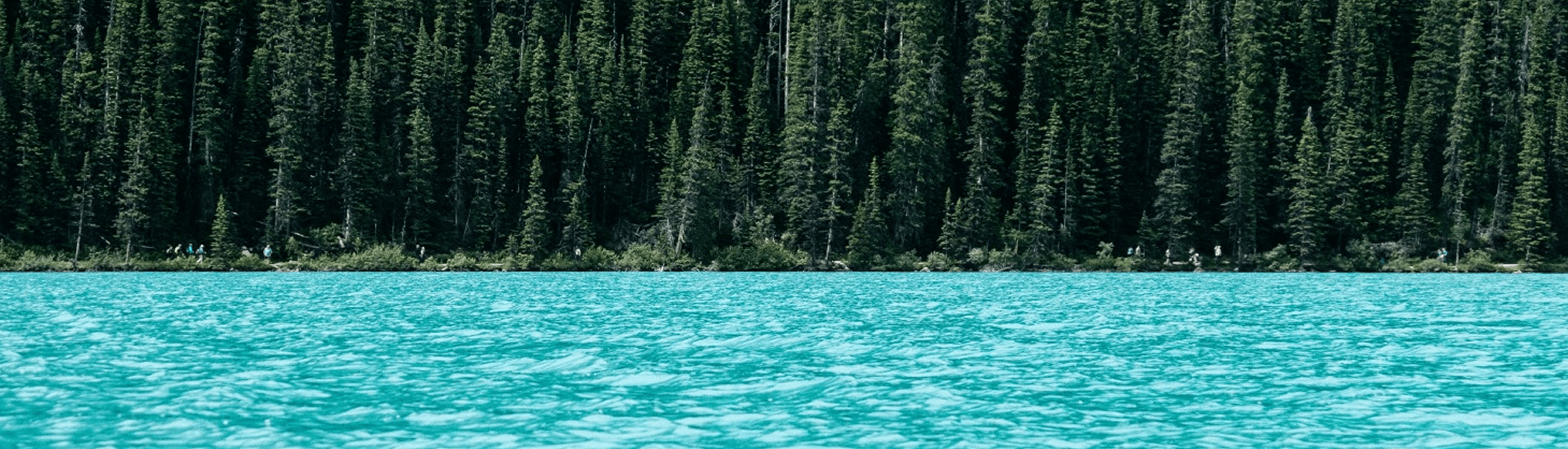 Turquoise water in front of a dense forest.