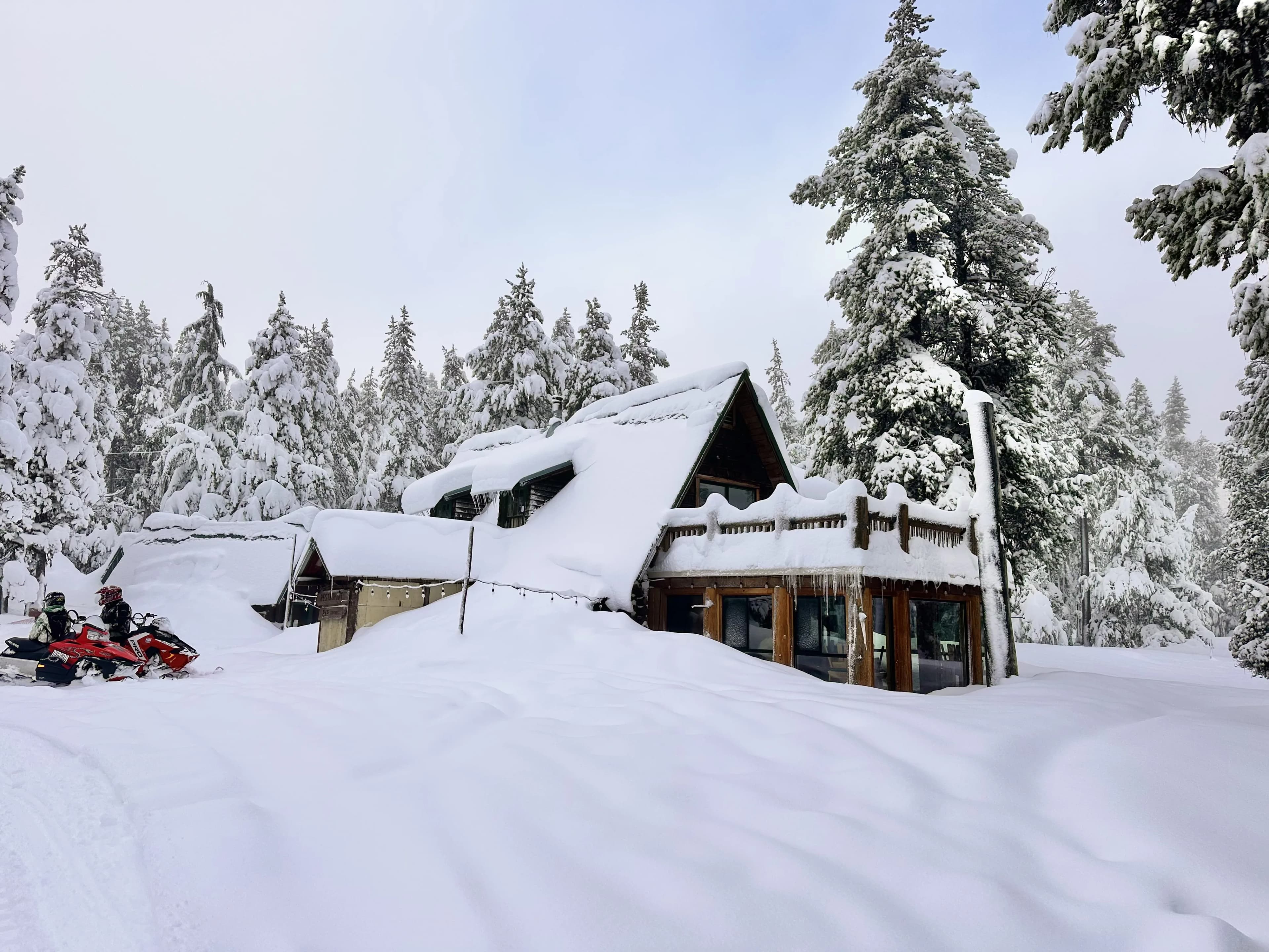 Snow-covered cabin surrounded by tall trees in a winter landscape.