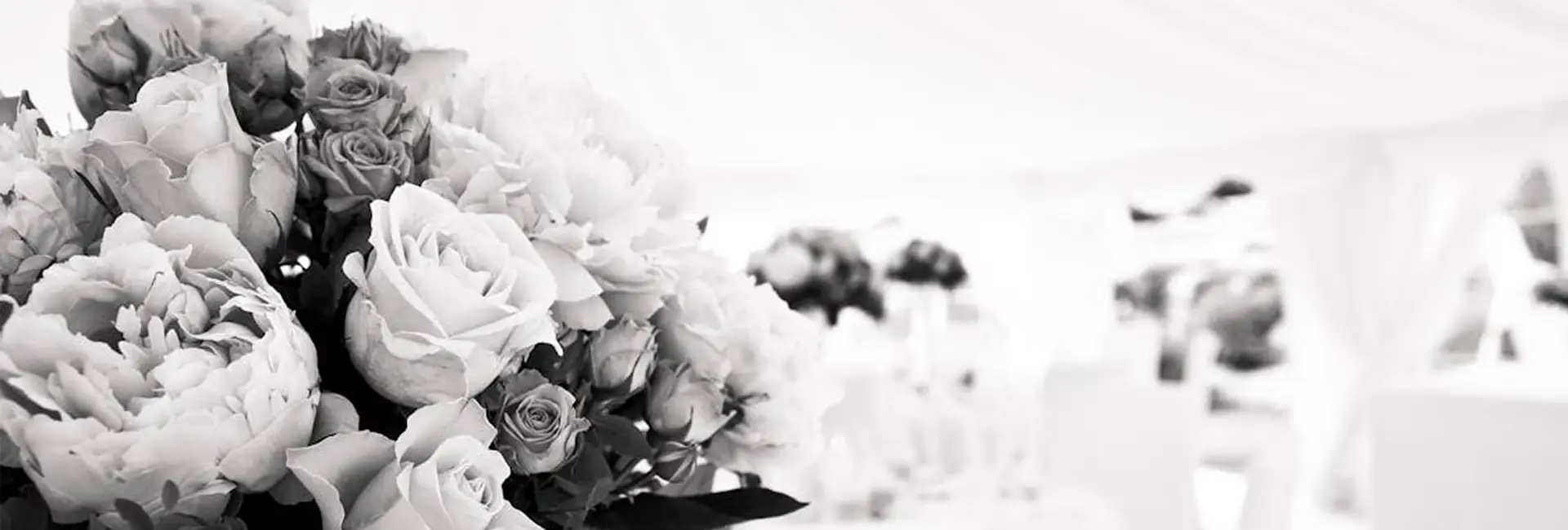 A close-up of a bouquet of white and pink roses in a softly blurred indoor setting.