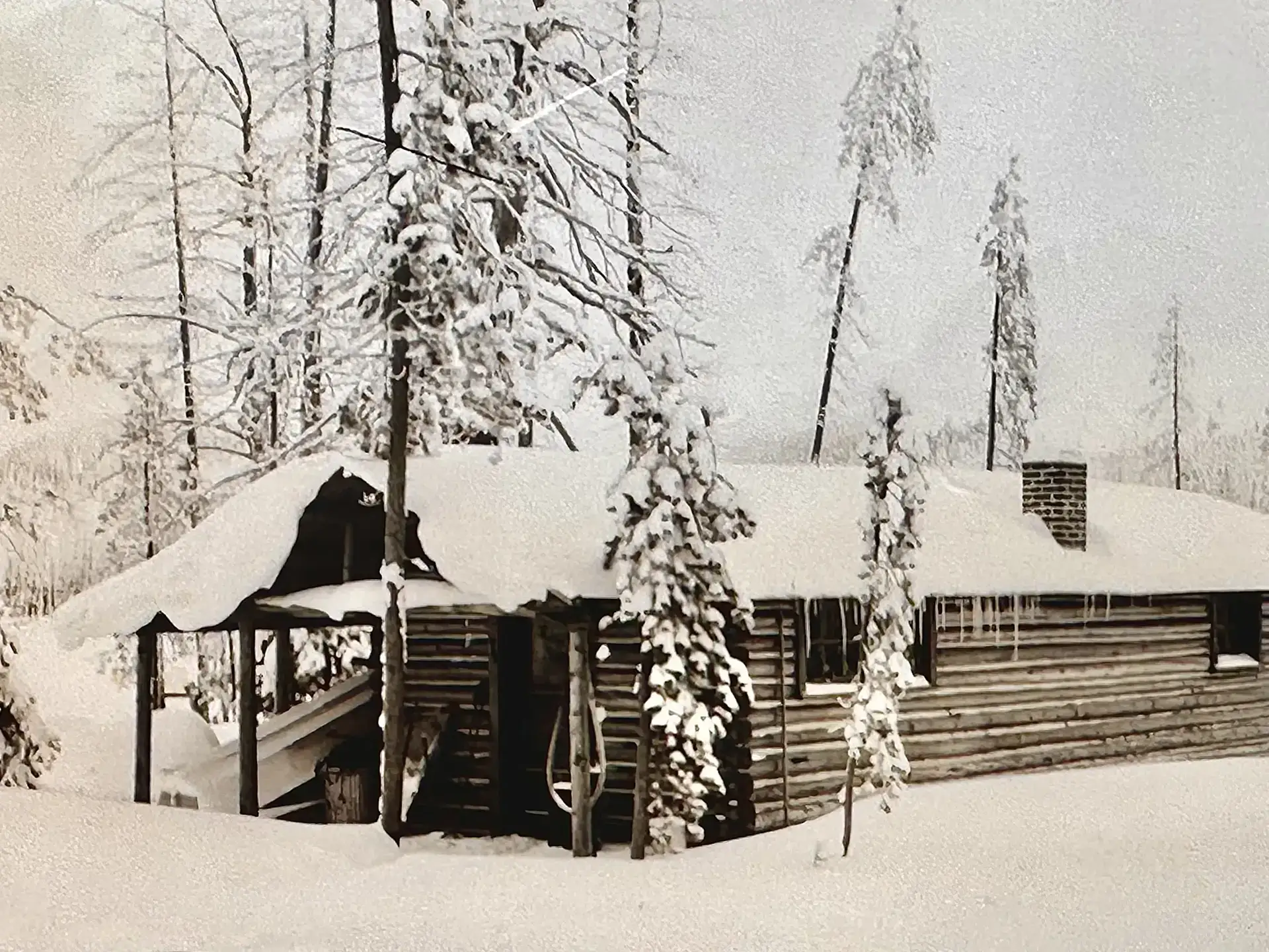 A log cabin covered in snow, surrounded by tall trees.