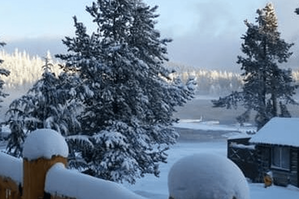 A snowy landscape featuring frost-covered trees and a serene lake in the background.