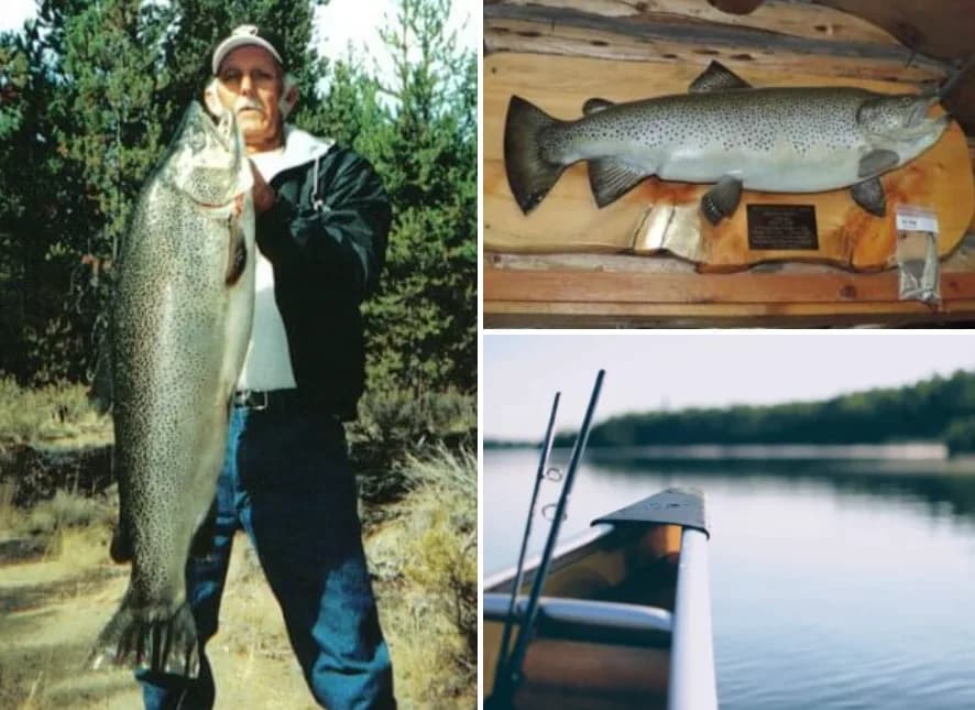 A man proudly holds a large trout by a serene lake, accompanied by a mounted fish display and a canoe ready for fishing.
