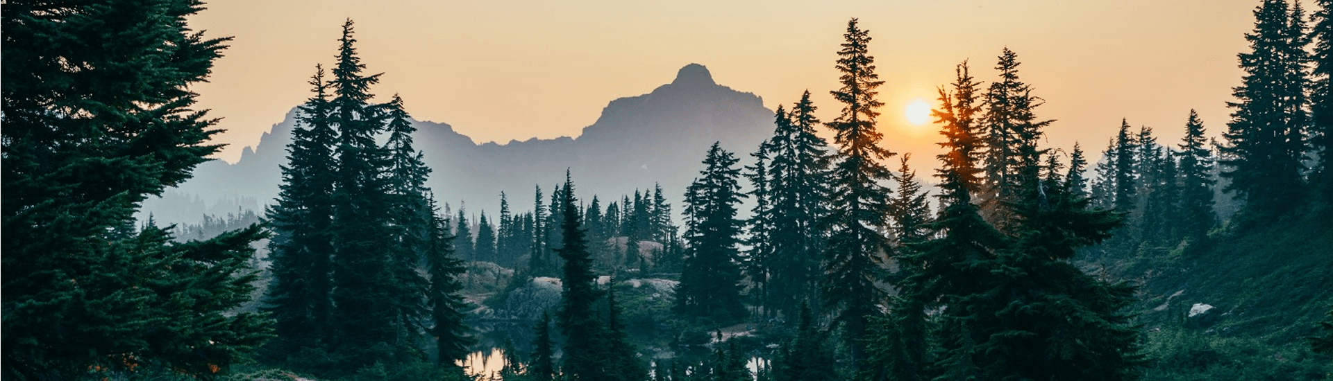 A serene forest at sunrise with silhouetted trees and distant mountains.