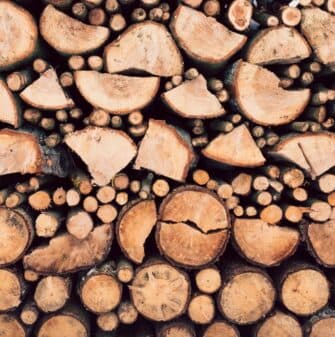 A neatly arranged stack of various sizes and shapes of cut logs.